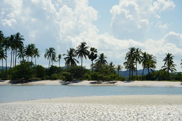Idées de recettes pour un barbecue réussi en camping