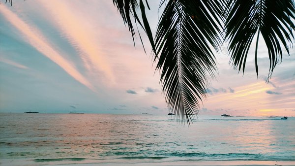 Le meilleur des circuits touristiques gastronomiques